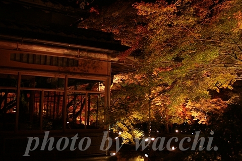 京都・嵐山『宝厳院』紅葉ライトアップ