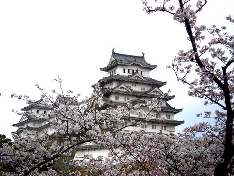 桜に浮かぶ姫路城。。。