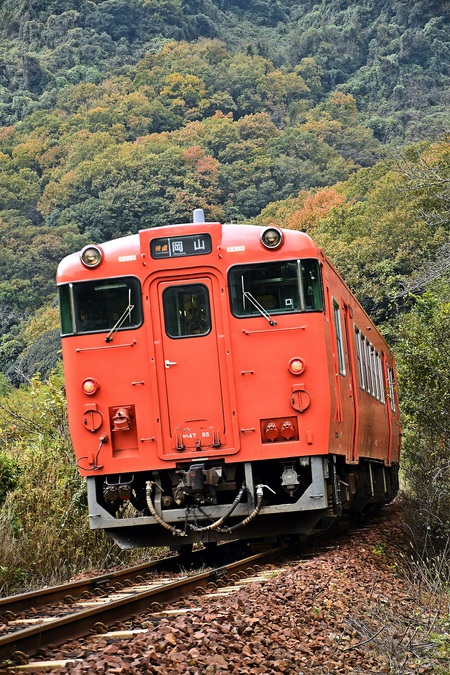 「津山線」数日で紅葉も進んでいます。（玉柏駅　-　牧山駅　-　野々口駅間）