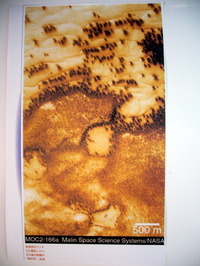 スクープ映像「火星の原生林」探査衛星画像