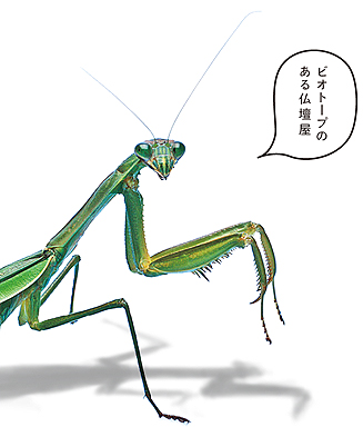 アイ・ラブ・カコガワ