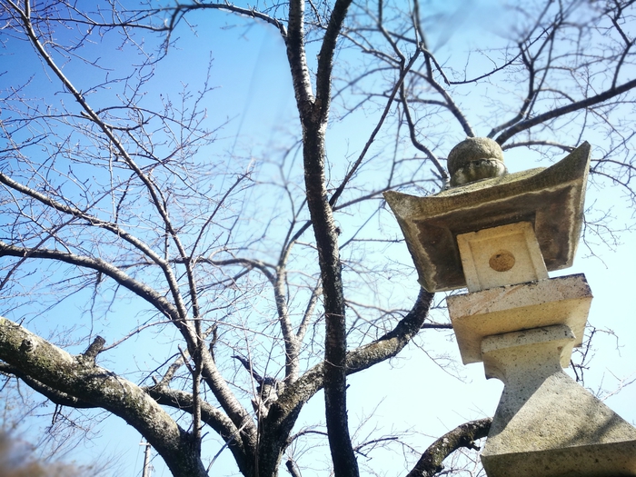 でっかい石　生石神社