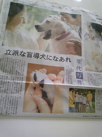 今朝の神戸新聞
