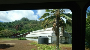 ハワイの植物に触れる旅　②カウアイ島アラートン・ガーデンへ