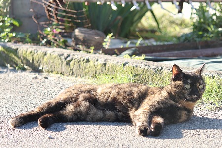 みぎひだり