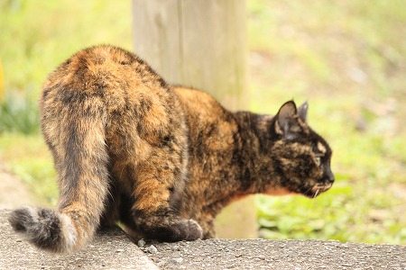 まいにち かくにん