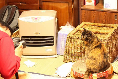 じょーずにゃ かくりぇかた