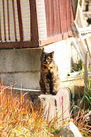 12がつ 723ぱしゃ