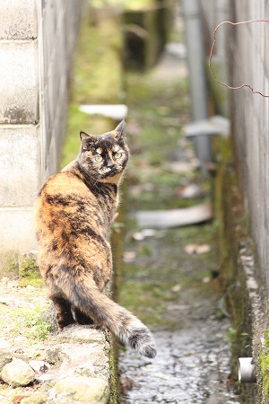 12がつ 723ぱしゃ