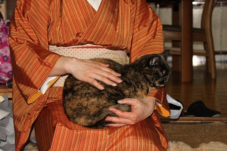 おみやげあったにゃ!