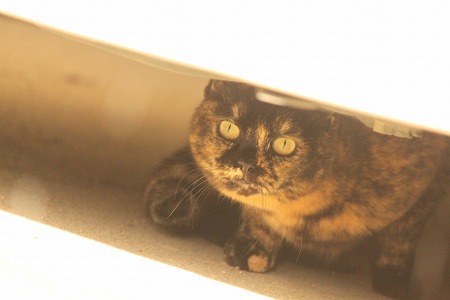 3がつ 1219ぱしゃ 3がつ 1219ぱしゃ