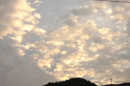 にゃつが くりゅにゃ! にゃつが くりゅにゃ!