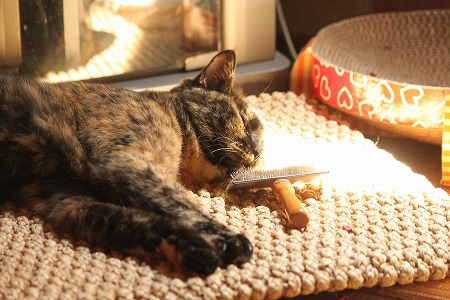 そのままにゃ そのままにゃ