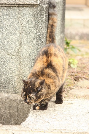 ぎりぎり ぎりぎり