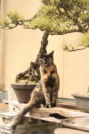 どこまで? どこまで?