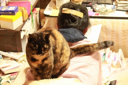 ひさびさにゃ ひさびさにゃ