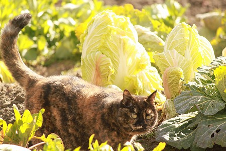 もーすぐ もーすぐ