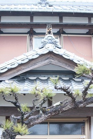 おみごとにゃ! おみごとにゃ!