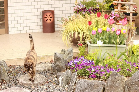 どーすりゅ? どーすりゅ?