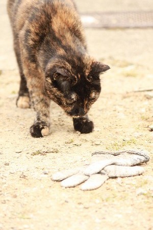 おちてりゅものは、、、 おちてりゅものは、、、