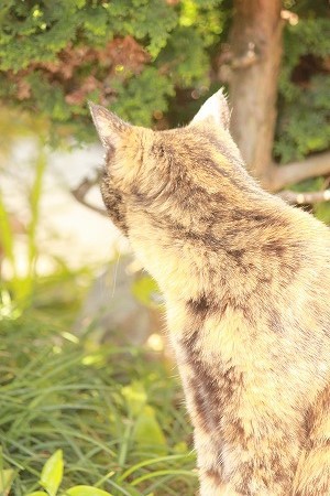 こんにゃまいにちw こんにゃまいにちw