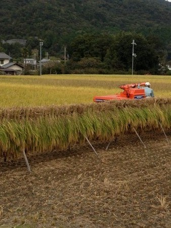 ホントのこと