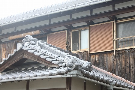 どこにいるか わかるかにゃ~