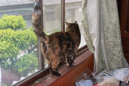 うにゃ?