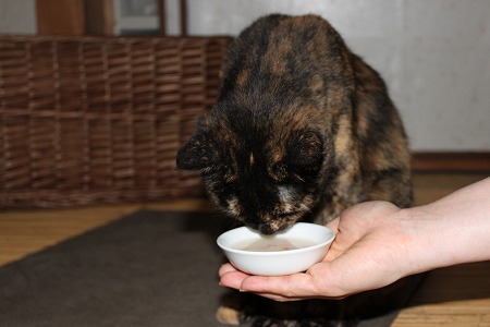 ぼつにゃぱしゃ