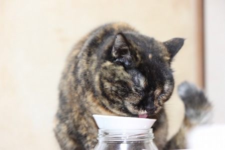 おかあちゃんのごはん