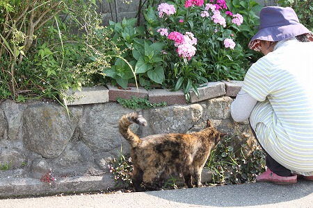 つーしょっと にゃのかにゃ~