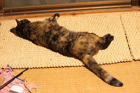 あちくにゃったにゃ