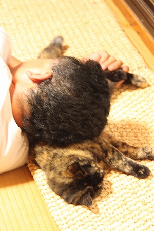 あちくにゃったにゃ