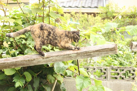ぐりゃぐりゃ