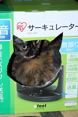 こーにゃったにゃ