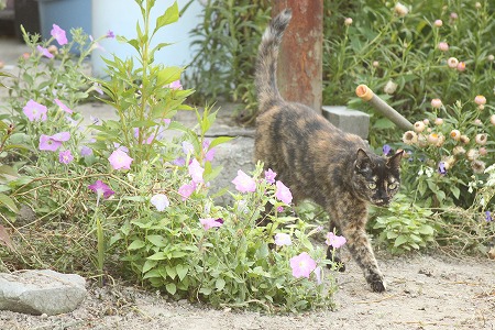 きゅーけーちゅー