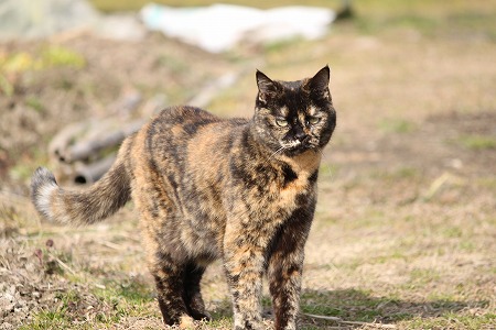2がつ 1139ぱしゃ