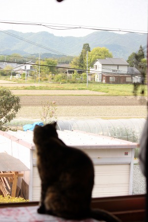 にゃにが いーかにゃ~