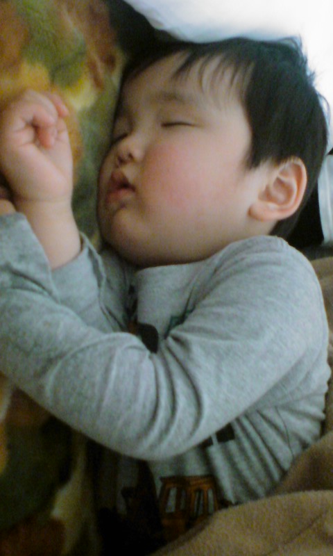 スヤスヤ(-.-)zzZ