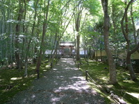 『竹の寺』