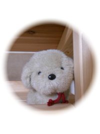 プチ改造☆ビフォーアフター キッチン編 序章 2013.09