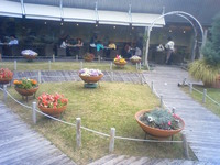 TOOTH TOOTH GARDEN　（三宮）