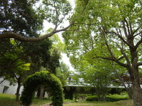 加古川ウェルネスパーク　６月初旬の風景　2012