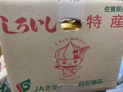 佐賀県から玉ねぎが届きました！