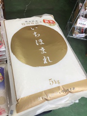 福井の新品種「いちほまれ」、本日（１０／４）より発売！
