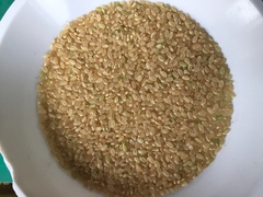 今月（１０月）の頒布会のお米は、”茨城県産　新米　ふくまる”