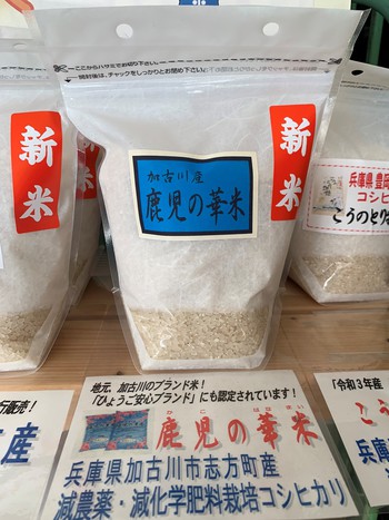 今月の頒布会のお米は、地元、加古川市産のお米です！