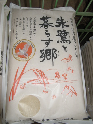 朱鷺と暮らす郷　～新潟県佐渡市産特別栽培米コシヒカリ～