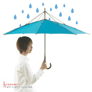 こんな傘、知ってますか？