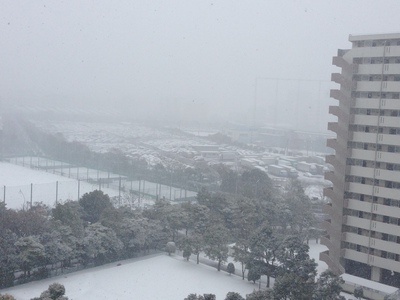 東京も雪